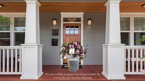 Encore Azalea Autumn Twist Live Shrub (2 Gallon)