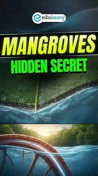 Why Mangroves Don’t Die in Saltwater 🌊 UPSC Ecology Hack