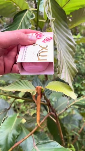 497K views · 4.6K reactions | The guys shows SURVIVAL skills and Useful save Water Soaps camping Outdoors survival skills #outdoors #camping #skills #bushcrafts | Halic Survival | Facebook