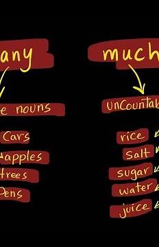 many - much - countable and uncountable - Grammar