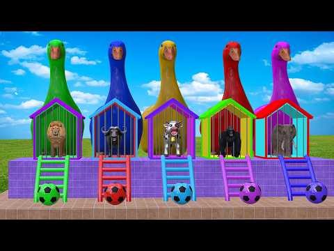 Long Slide Game With Cow Elephant Gorilla Hippopotamus Tiger - 3d Animal Game - Funny 3d Animals
