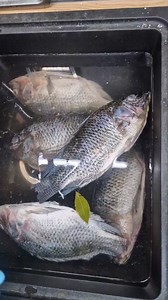 MISE EN PLACE #cooking #motivation #viralvideo | Alvine Chloé