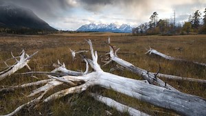 How to Use a Foreground to Create Depth