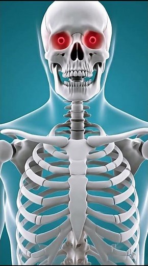 The Painful Lump Near Your Tailbone Here's What's Happening #medicalscience #humanbody #healthtips