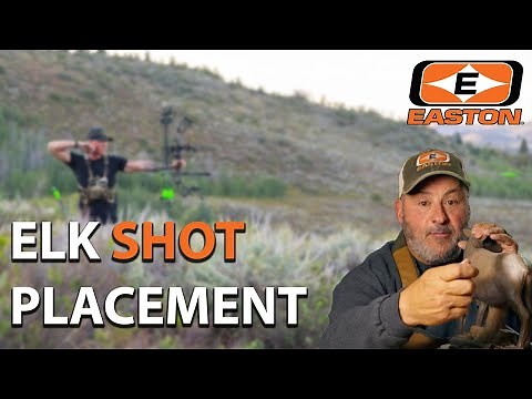 Elk Shot Placement Tips with Ralph Cianciarulo | Archery Hunting Guide