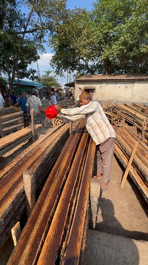 তালের কাঠে পানি ছিটাই কেন? এত তাল কাঠ পাই কোথায়? #reels #agriculture | Adventure With Shanto
