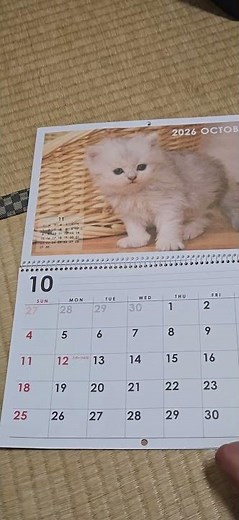 2026年のカレンダー・9月から12月まで🐈️