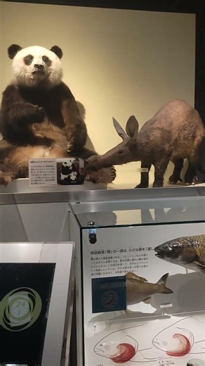 animals statue display #animals #statue