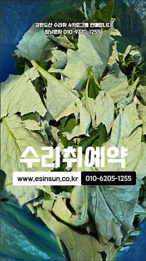 강원도산 수리취판매 #수리취 #수리취파는곳 #떡취 #수리취농장