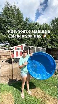 Come Make a Dust Bath for My Chickens With Me