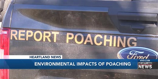 Environmental impacts of poaching