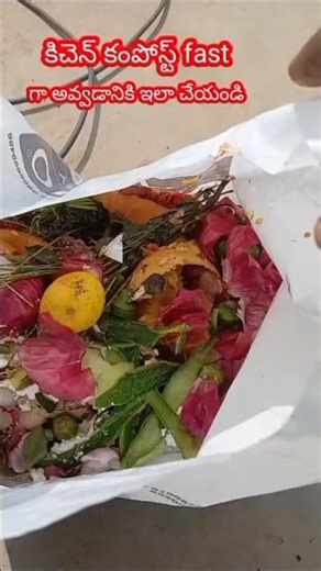 కిచెన్ కంపోస్ట్ ని fast గా prepare చేద్దాం how to make kitchen compost #shorts #trending #viral