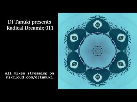 Radical Dreamix 011