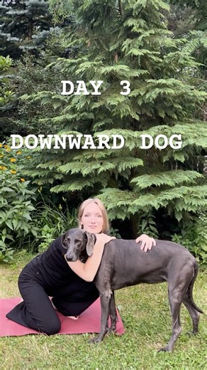Day 3 of 30 | Yoga for beginners | can you hold this dog down for 20 secs? 😅