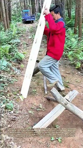 叩いて固め、木に預ける：手作りの梯子が運ぶ上昇
