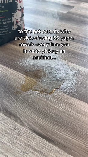 Ultimate Pet Mess Absorbent & Odor Eliminator - Sprinkle and Sweep