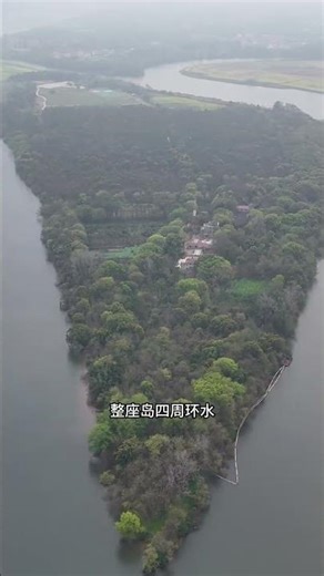 Escape to Self-Sufficiency: How Long Can You Thrive Off the Grid