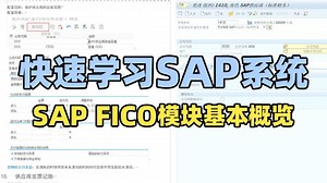 SAP从入门到精通 SAP系统总体框架及ABAP开发的作用