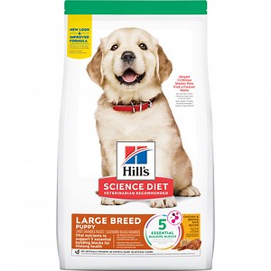Hill's Science Diet Puppy Large Breed Dog Food 12kg
