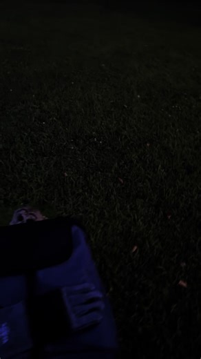 9.4K views · 560 reactions | This lucky Barred Owl from West Suffield was escorted home late day yesterday. We release our nocturnal friends at dark-o- clock or as close to for their best interest. This owl was struck by a vehicle and rescued by Animal Control Officer Ryan Selig and brought to APCH for care. Enjoy the reward! Baby thought about staying… enjoyed the free meals! | A Place Called Hope | Facebook