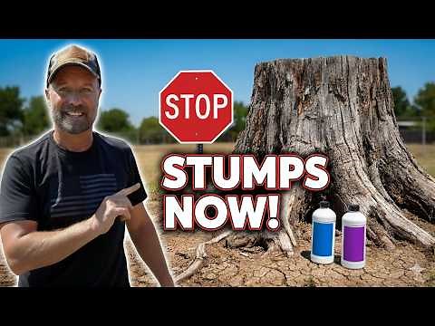 Kill a Stump the Right Way (Cheap & Effective)