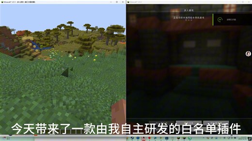 我的世界服务器白名单插件