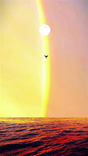 Islamic Nasheed Compilation | Beautiful Islamic Sounds and Quran Recitation