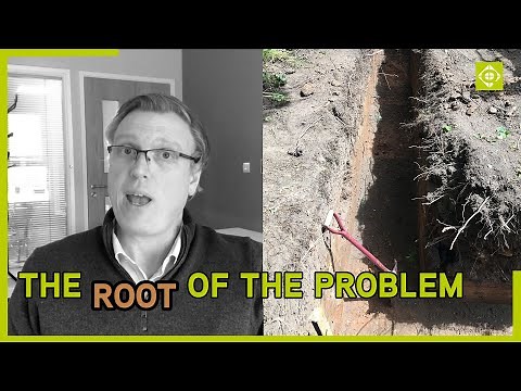 Foundations and Trees: How Deep to Dig