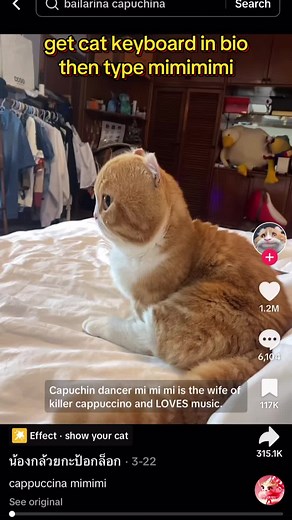 Facemoji Keyboard on TikTok