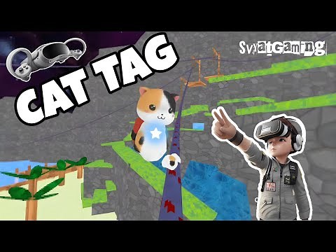 Cat Tag VR Game on Pico 4