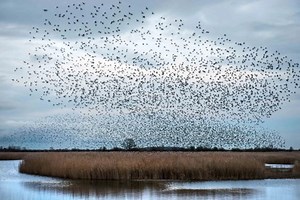 Otmoor 17th December - Watford Local Group