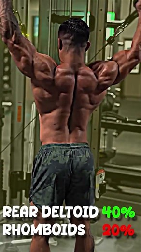 Isolate the Rear Delts Properly #shorts #fitness #shoulders