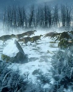During the Cretaceous, Alaska was even farther north than it is today and part of the state would have experienced four months of total darkness. | NOVA l PBS