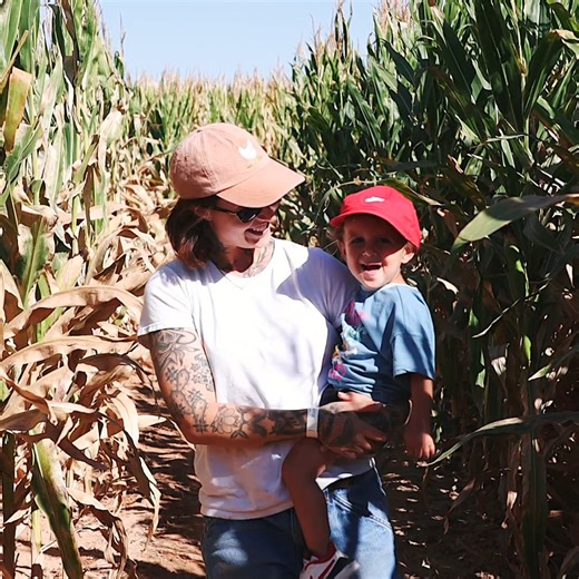 1.1K views · 893 reactions |  October is the perfect time to visit McCall’s Pumpkin Patch!  With leaves changing colors and becoming more vibrant, there’s no better place to be than in at a pumpkin patch. Enjoy our corn maze, pumpkin picking, hayrides, and more.  Dive into the autumn fun and buy your tickets online now! ️ Click here to purchase tickets now: https://mccallpumpkinpatch.com/pages/experience | McCall's Pumpkin Patch | Facebook