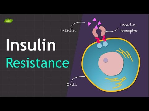 Insulin Resistance | Basics and Mechanism | Basic Science Series