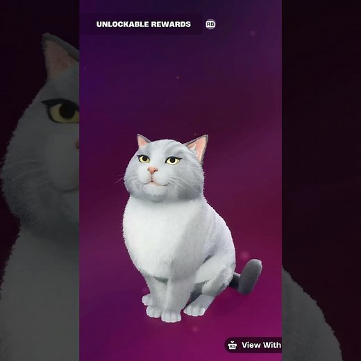 spining Funther's cat