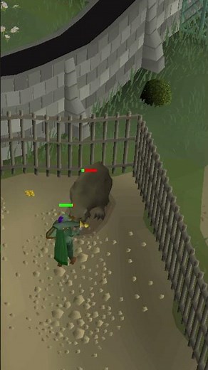 Varrock Bear | Melee | OSRS