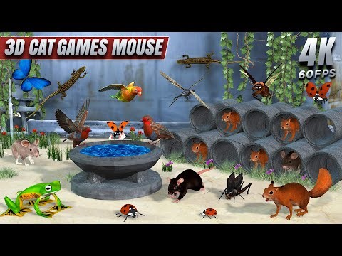 Cat Games 3D | Ultimate Cat TV for Cats to Watch – Birds, Mice, Squirrels & Insects | 4K 60FPS