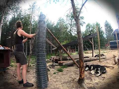 Mise en place d'une clôture / grillage