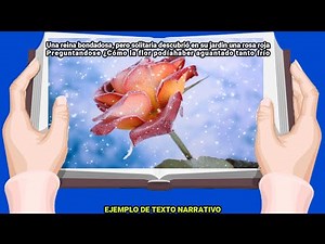 Text types: definition and examples