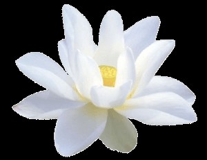 Lin San Temple - 灵山寺 | Buddhist Temple Singapore | Buddhist columbarium Singapore