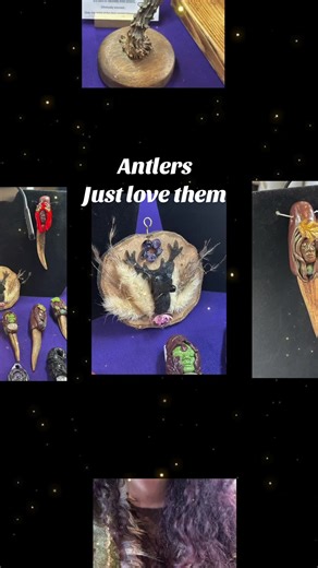 Beautiful Antler Display Piece for Your Collection