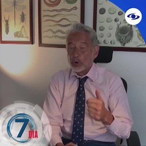 #SéptimoDía regresa con capítulos originales en la franja de opinión de Caracol Televisión. No se pierda este domingo una nueva e impactante investigación a las 9:30 p.m. ¡Los esperamos! 📺 | Séptimo Día