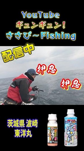 Toyo Maru Amadai Fishing