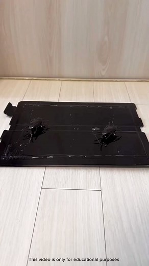 Girl Gets Stuck | What is This? | Facebook