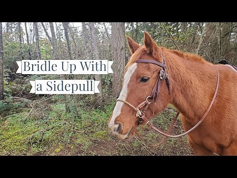 How to Put On a Sidepull & Adjust It