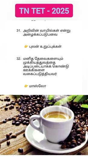 TN TET paper 1 psychology question practice