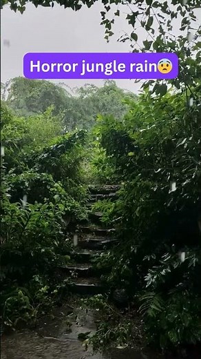 Horror Jungle Rain 🌧️ Dark Storm Ambience | Creepy Nature Sounds