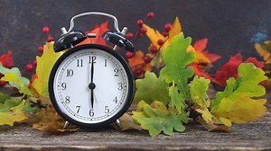 1.3K views | Why do we fall back, spring forward? Energy, Daylight & the Farmer Myth focusonenergy.com/blog | Focus on Energy | Facebook