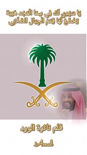 شعار محمد بن سلمان: سيفين ونخله